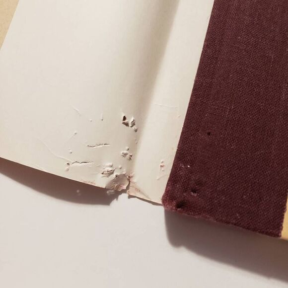 New World Library Hardcover "The Seven Spiritual Laws of Success" Book - Picture 5 of 7